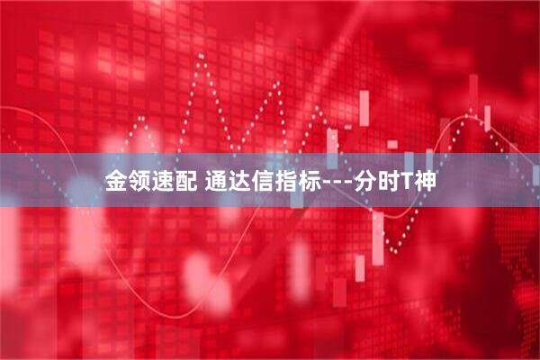 金领速配 通达信指标---分时T神