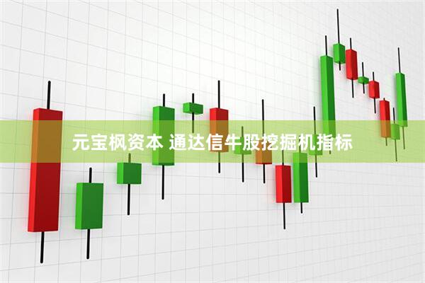 元宝枫资本 通达信牛股挖掘机指标