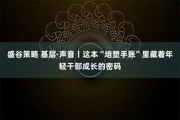 盛谷策略 基层·声音丨这本“培塑手账”里藏着年轻干部成长的密码